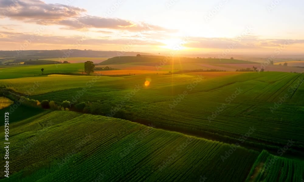 Aerial View of Green Fields at Sunset Aerial View of Green Fields at Sunset