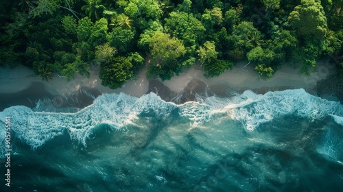 Fototapeta Naklejka Na Ścianę i Meble -  Costa Rica Wildlife, coastal plains, mountainous regions and lush tropical forests