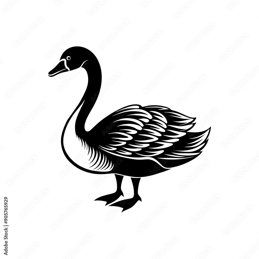 illustration of a white swan