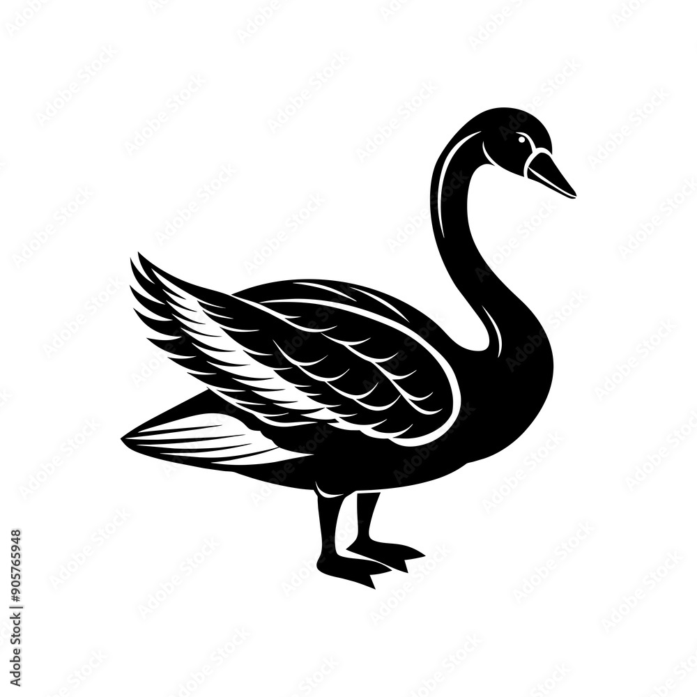 illustration of a white swan illustration of a white swan