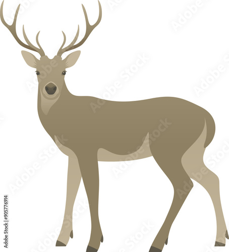 Color illustration of deer or reindeer with antlers looking at camera, side view. Wild animal standing, isolated on white background.