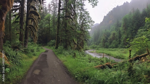 Mossy Marvels: Exploring the Enchanting Hoh Rainforest in Olympic National Park photo