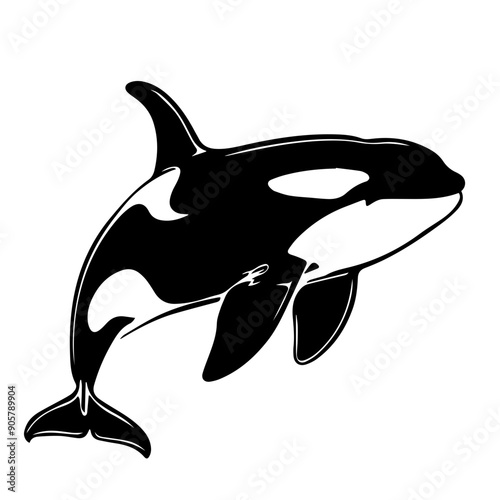 Orca Vector Illustration in Black