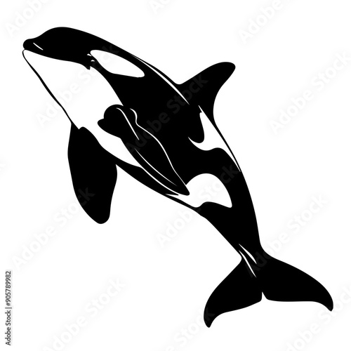 Orca Vector Illustration in Black