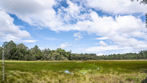Bild auf Leinwand Humedal, laguna guarne