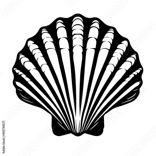 Scallop Shell Vector Illustration
