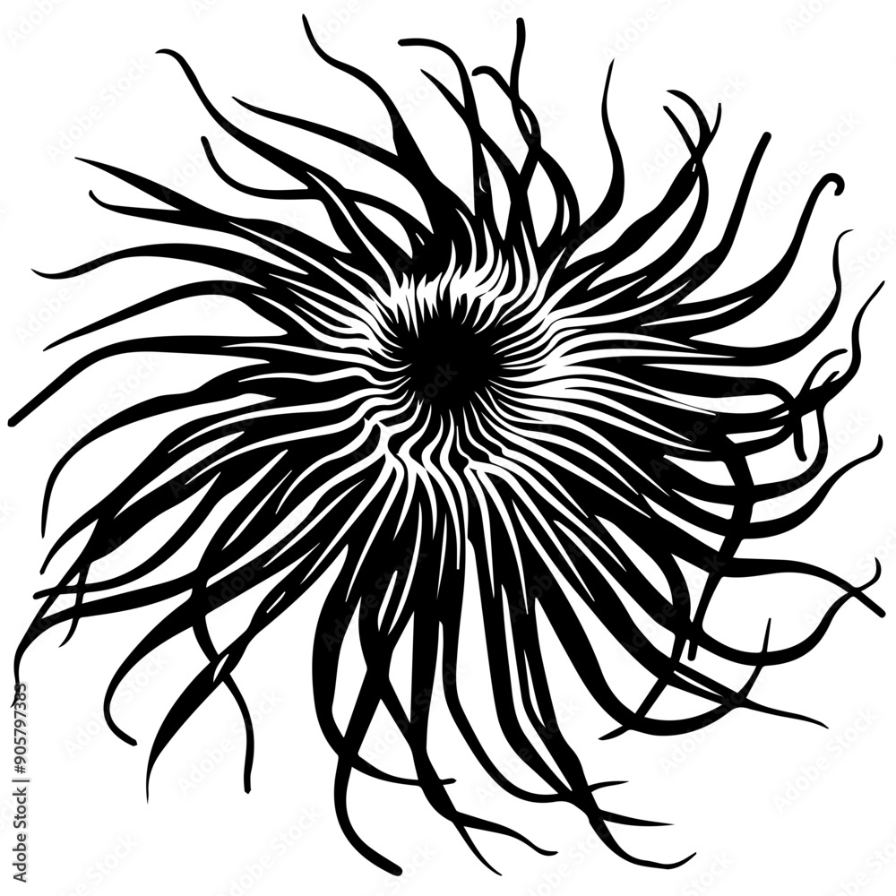 Sea Anemone Vector Illustration Sea Anemone Vector Illustration