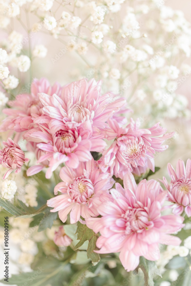 close up of flowers close up of flowers