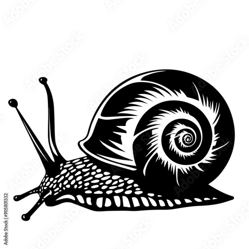 Snail  Black Vector Illustration