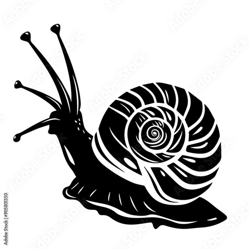 Snail  Black Vector Illustration