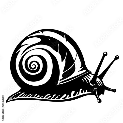 Snail Vector Illustration