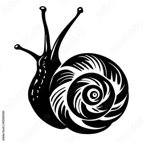 Snail Vector Illustration