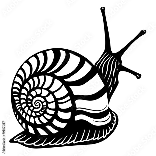 Snail Vector Illustration