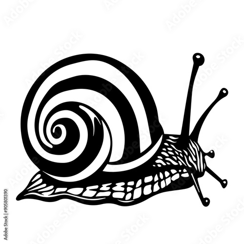 Snail Vector Illustration