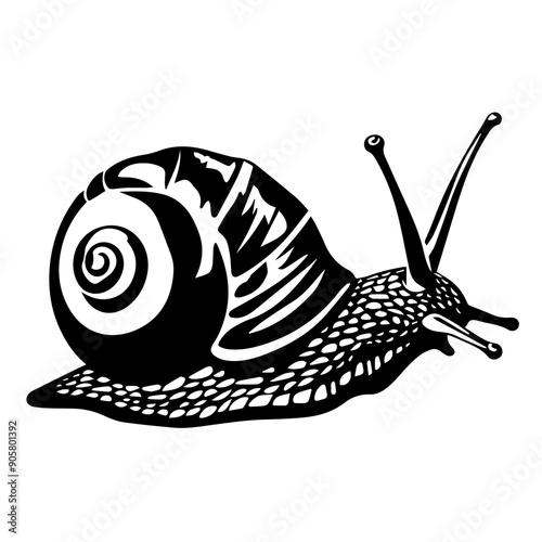 Snail Vector Illustration
