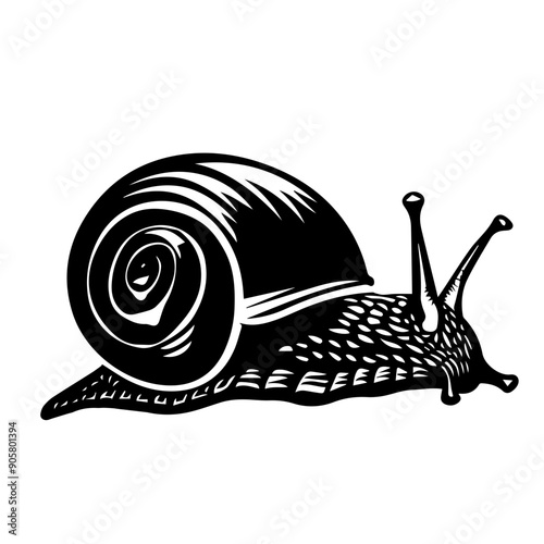 Snail Vector Illustration