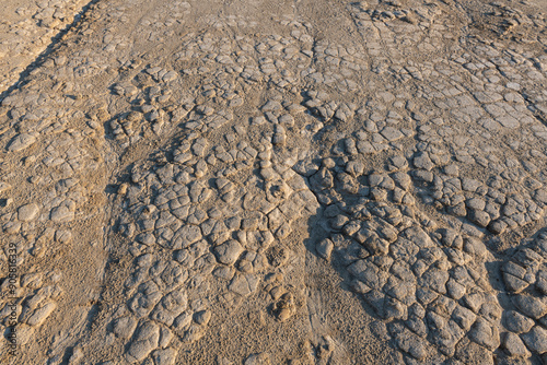 Dried mud texture. Dried mud waves from the mud volcanos site in Berca, Buzau, Romania. photo