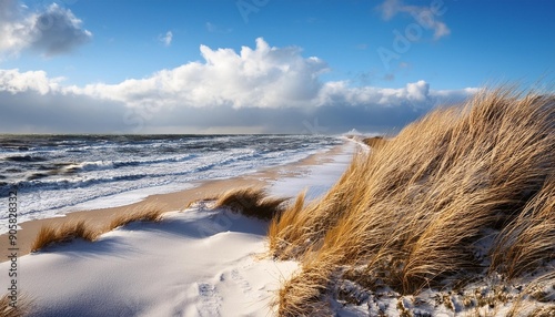 sonniger wintertag am meer dunen am strand sturmische ostsee darss photo