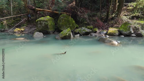 日本の風景 緑色の渓流と、苔のむした立派な岩をドローンで空撮 宮崎県の観光地