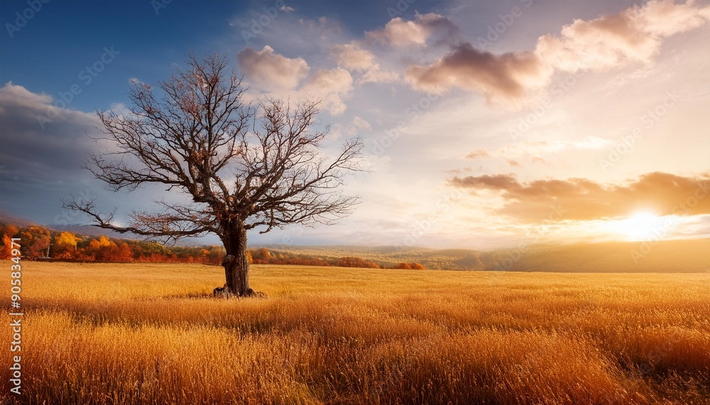 autumn landscape with a dead tree beautiful landscape with a lonely tree in a field autumn landscape with a dead tree beautiful landscape with a lonely tree in a field