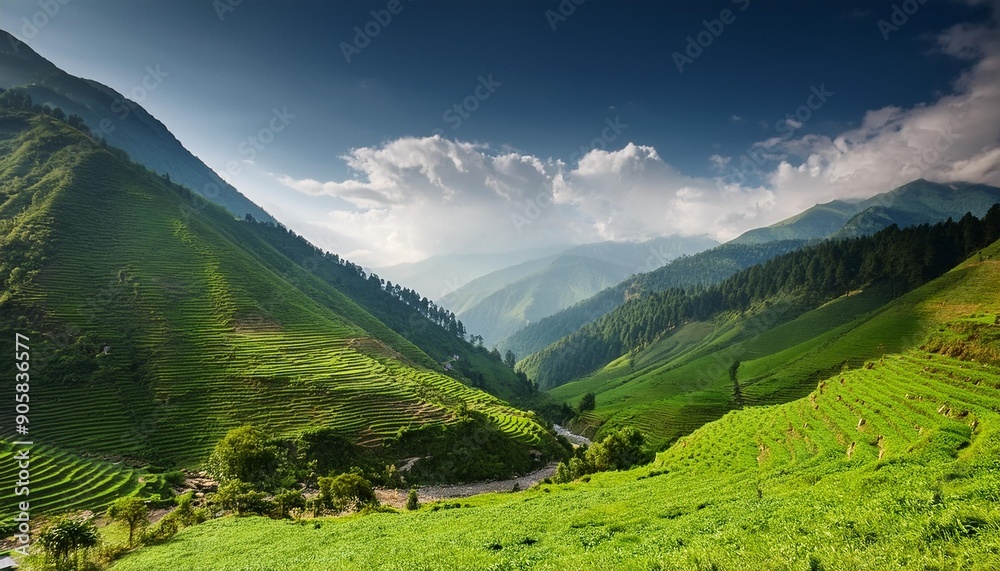 Obraz premium landscape of green amazing valley in uttrakhand