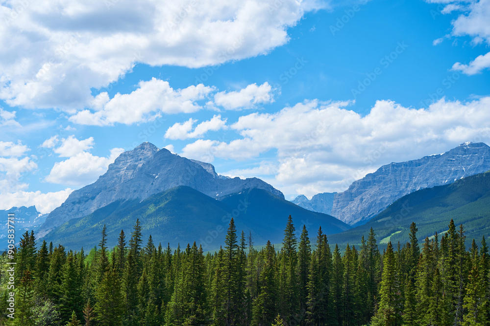 The rocky mountains of Alberta are surrounded by coniferous forests on a sunny summer day. The rocky mountains of Alberta are surrounded by coniferous forests on a sunny summer day.
