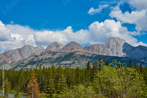 The rocky mountains of Alberta are surrounded by coniferous forests on a sunny summer day.