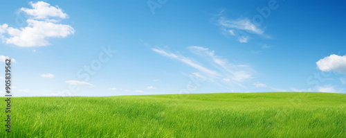 green grass blue sky