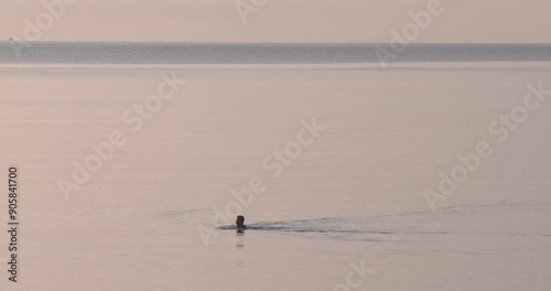 Sea swimmer treading water calm ocean water distant horizon slow motion