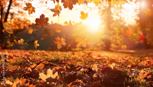 stimmungsvolle szene im herbst mit fallenden blattern und untergehender sonne photo