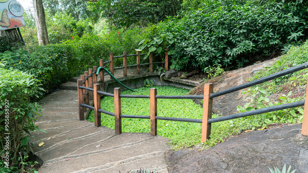 A beautiful path in a garden with rising steps. A beautiful path in a garden with rising steps.