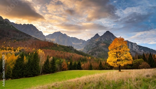 Fototapeta Naklejka Na Ścianę i Meble -  Beautiful autumn evening on a pasture under rocky mountains with a wild forest, a beautiful yellow tree in the middle of a meadow and a colorful dramatic sky. High tatras NP, Poland, Slovakia