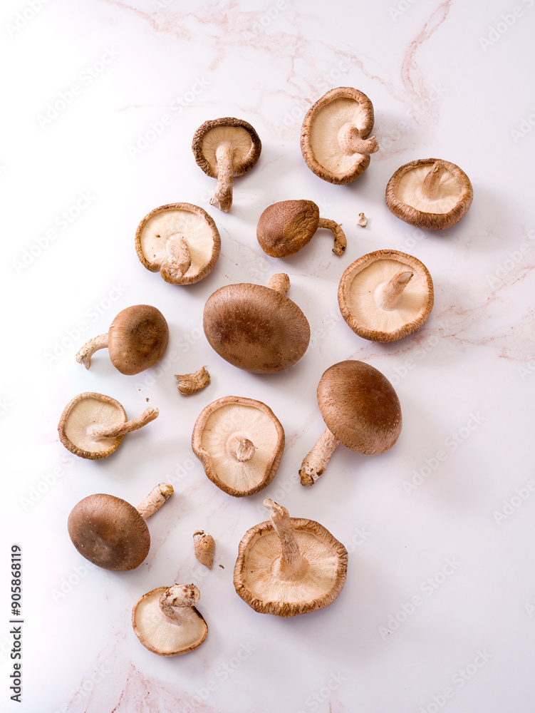 Overhead view of Shitake mushrooms on a light brown marbled surface; cancer fighting food; copy space Overhead view of Shitake mushrooms on a light brown marbled surface; cancer fighting food; copy space