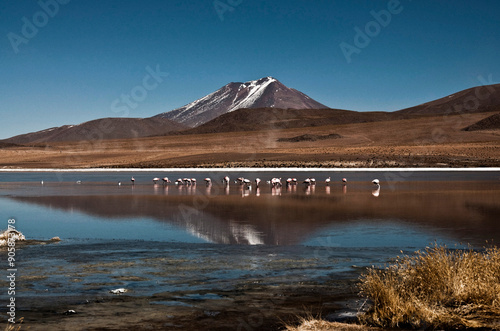 Eduardo Avaroa Andean Fauna National Reserve