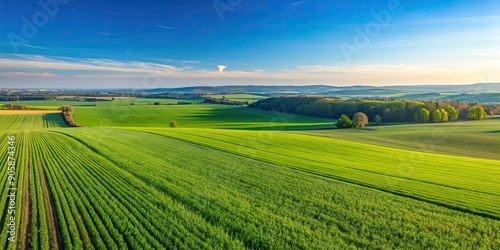 Grass fields stretching into the horizon in Langen, Hessen, Germany, meadow, green, countryside, nature, rural, landscape © Sujid