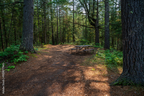 A serene picnic spot within the Amnicon State Park, Wisconsin