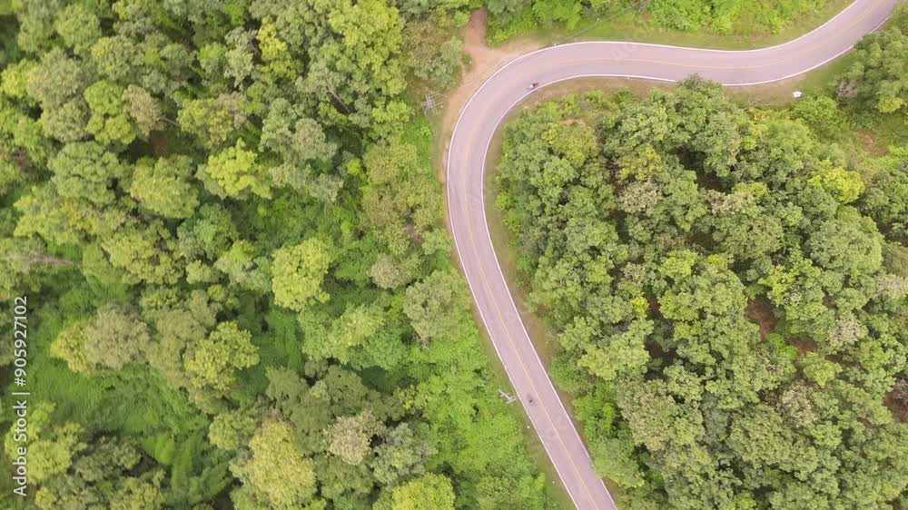 Aerial photograph capturing a winding road cutting through a dense, vibrant green forest during summer. Aerial photograph capturing a winding road cutting through a dense, vibrant green forest during summer.