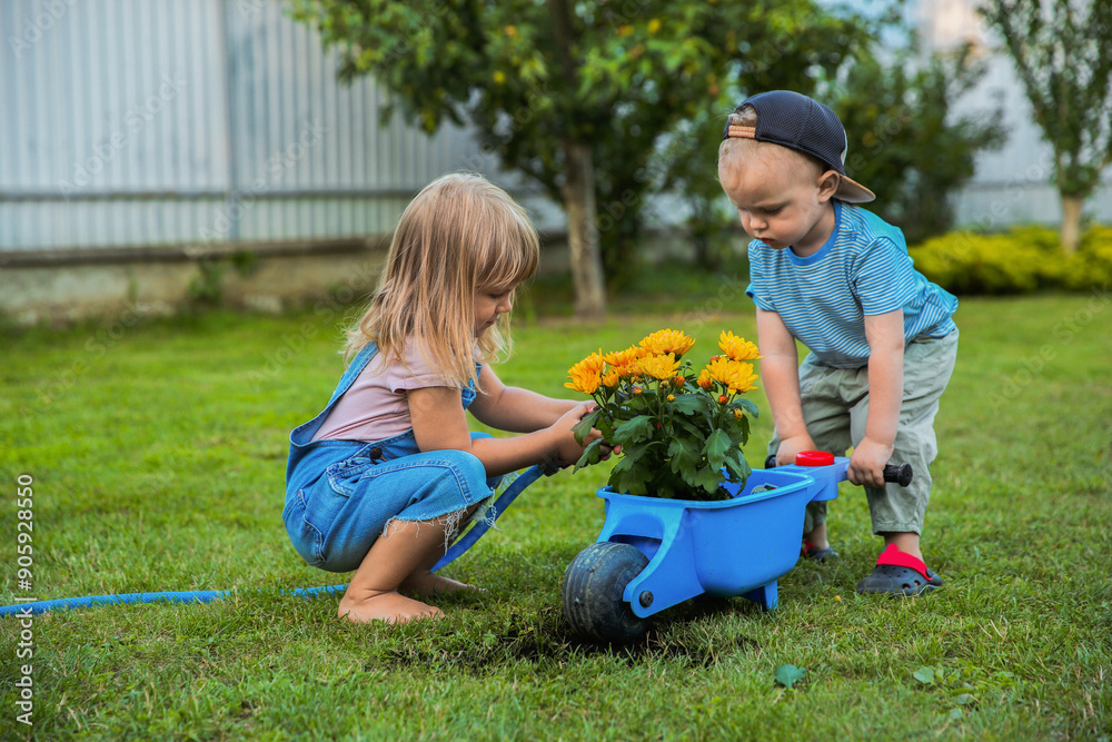 Cute little boy holding wheelbarrow while his sister watering flowers outdoors Cute little boy holding wheelbarrow while his sister watering flowers outdoors