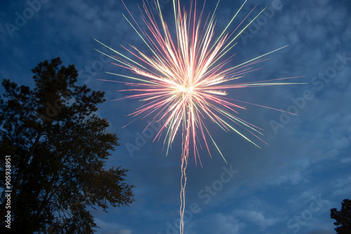 fireworks in the sky