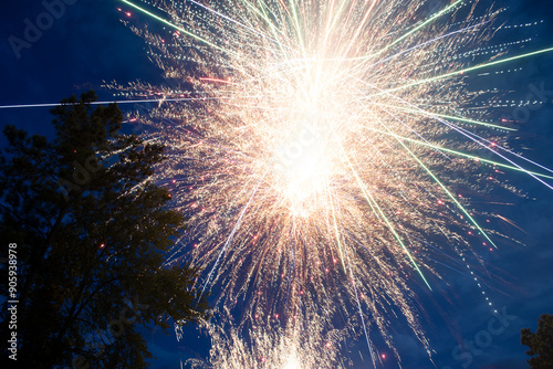 fireworks in the night sky