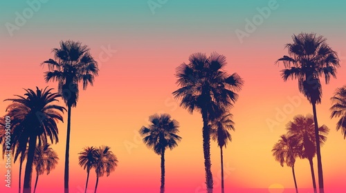 palm trees in the sunset