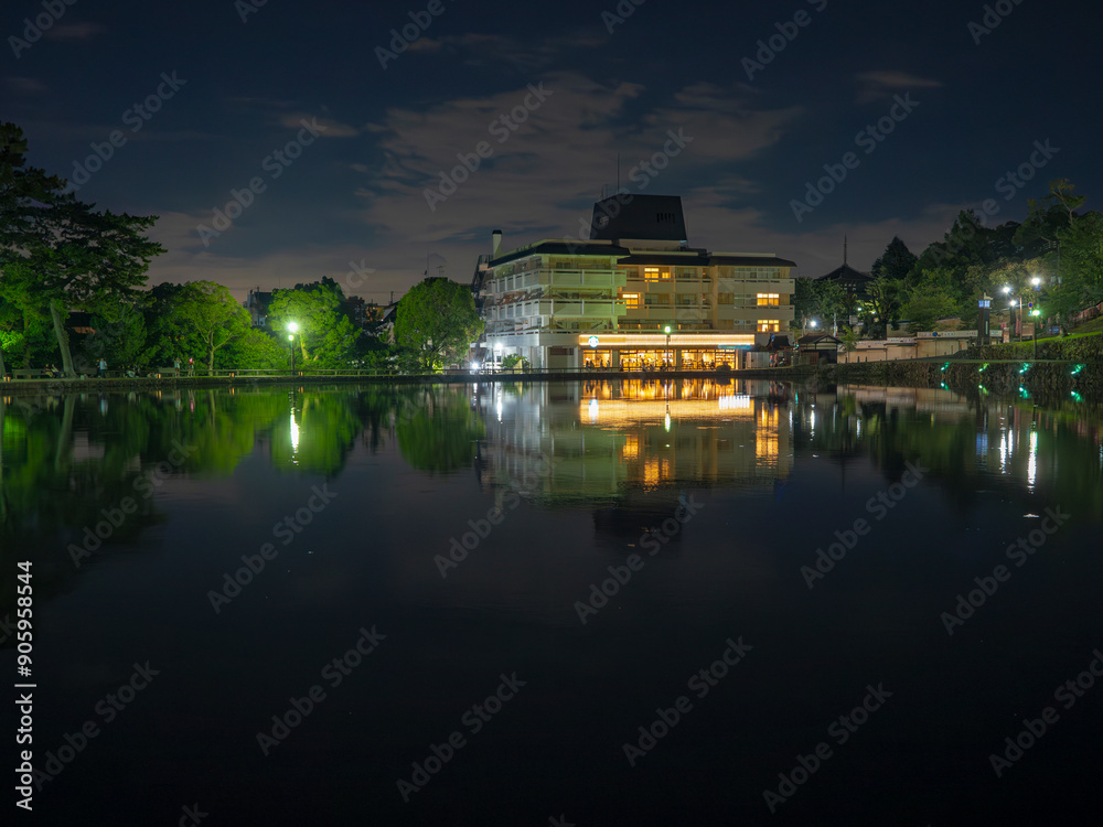 Obraz premium 奈良の夜景