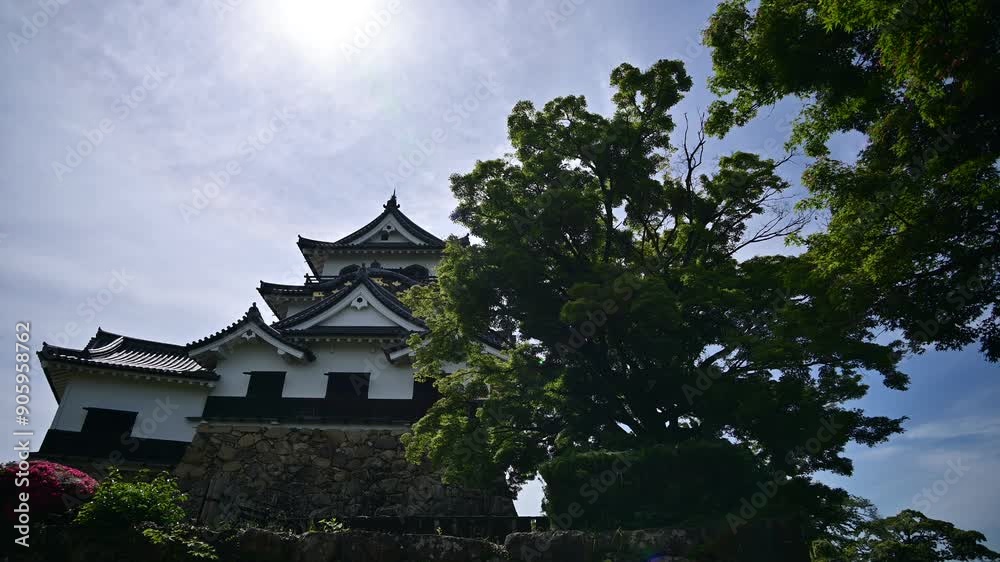 初夏の彦根城 (滋賀県彦根市, 2024年5月) 初夏の彦根城 (滋賀県彦根市, 2024年5月)