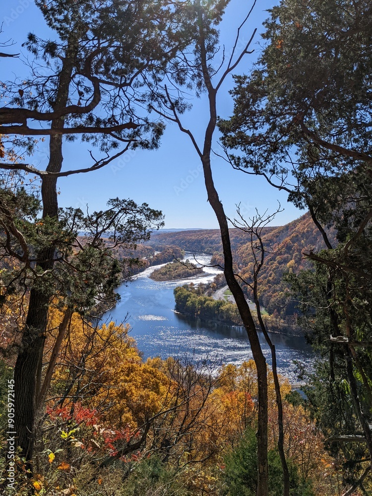 Hiking trail view of tree on the river Hiking trail view of tree on the river