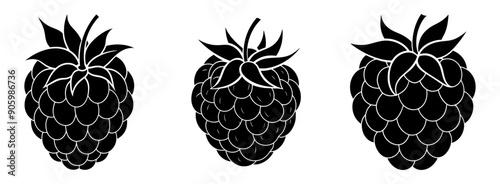 Raspberry fruit silhouette vector illustration