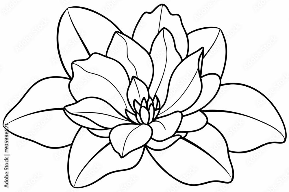 Line art of Cyclamen Flower Line art of Cyclamen Flower