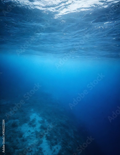 Wallpaper Mural Below the surface of the deep blue sea Torontodigital.ca