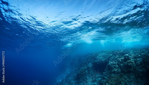 Below the surface of the deep blue sea