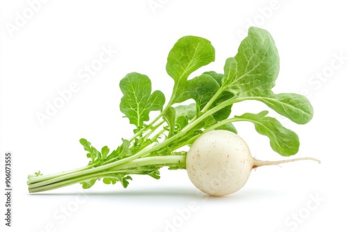 Radish isolated on white background, full depth of field , ai