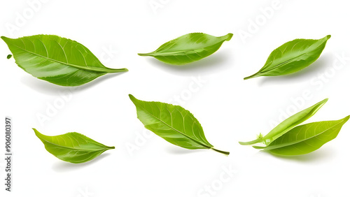  flying tea leaves set isolated in white background